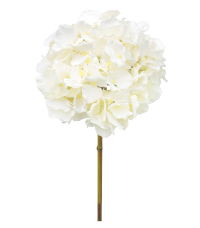 Tête d'hortensia artificielle blanche