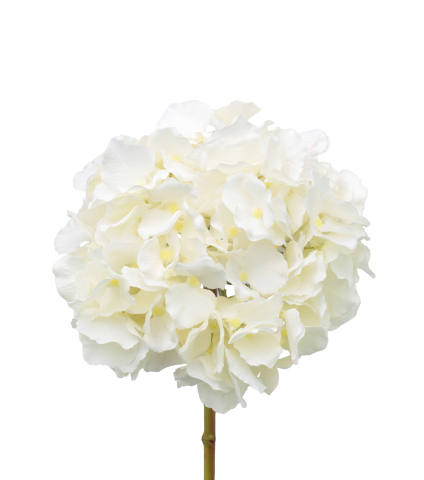 Tête d'hortensia artificielle blanche