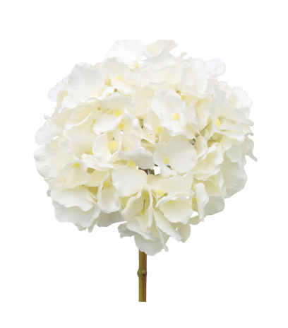 Tête d'hortensia artificielle blanche