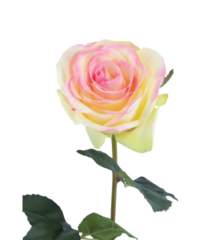 Rose first lady artificielle