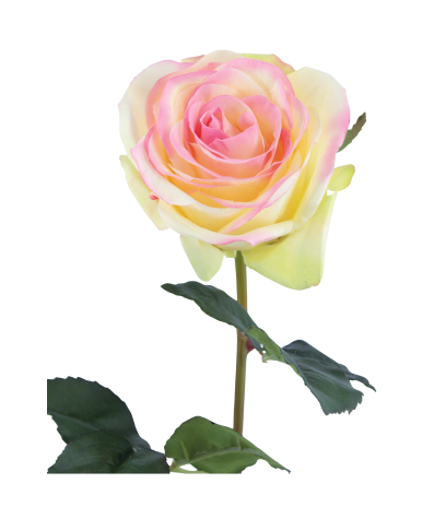 Rose first lady artificielle
