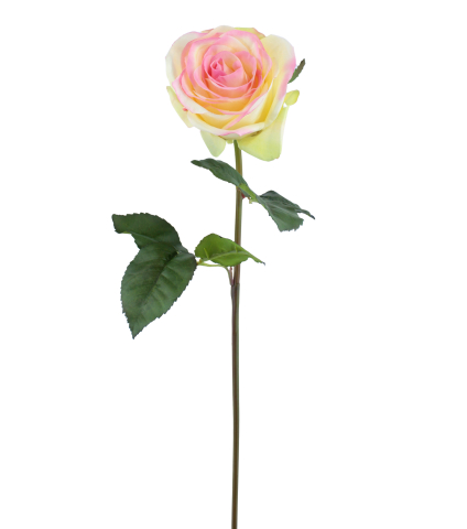 Rose first lady artificielle