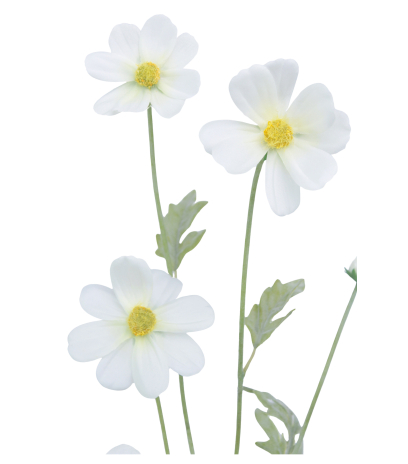 Cosmos blanc artificiel