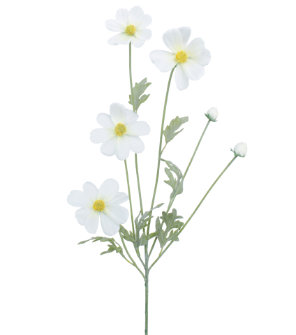 Cosmos blanc artificiel