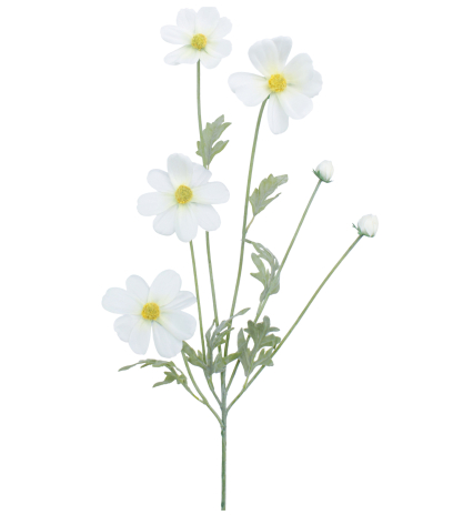 Cosmos blanc artificiel