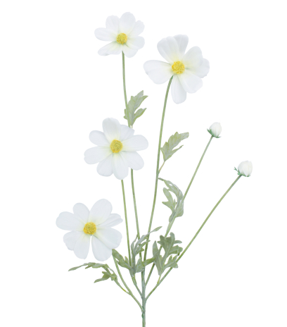 Cosmos blanc artificiel