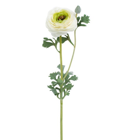 Renoncule artificielle blanche bouton