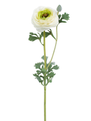 Renoncule artificielle blanche bouton