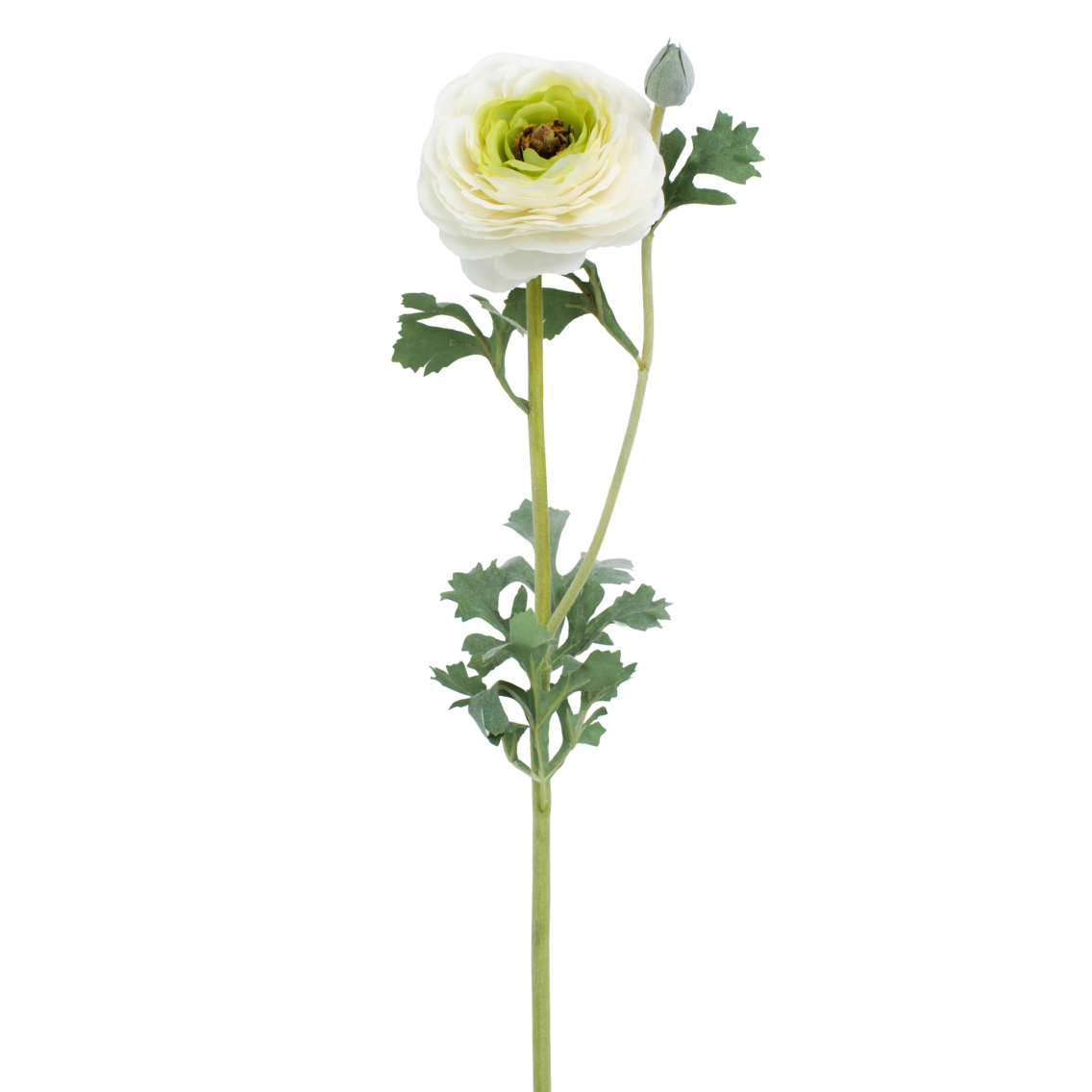 Renoncule artificielle blanche bouton Renoncule artificielle blanche bouton