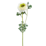 Renoncule artificielle blanche bouton