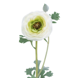 Renoncule artificielle blanche bouton