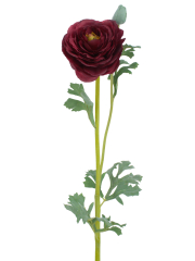 Renoncule artificielle rouge bouton
