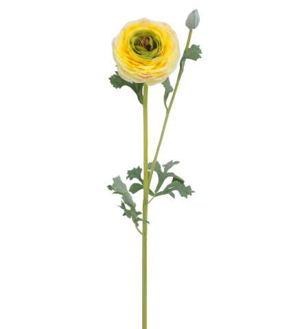 Renoncule artificielle jaune bouton