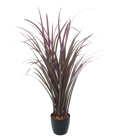 Citronnelle artificielle violette