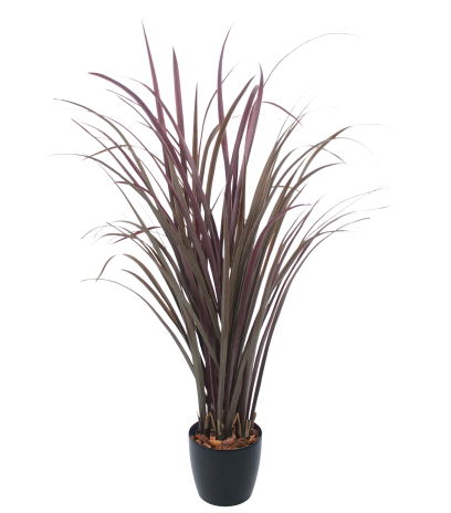 Citronnelle artificielle violette