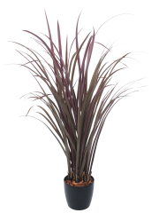 Citronnelle artificielle violette