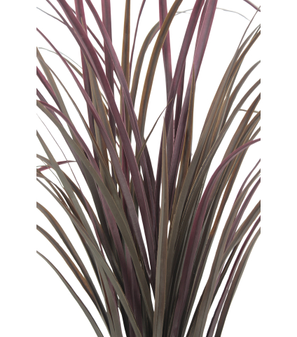 Citronnelle artificielle violette