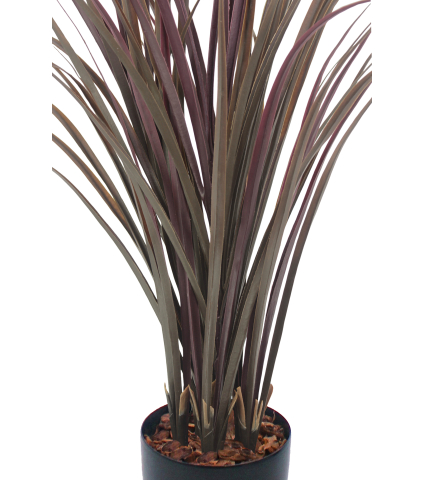 Citronnelle artificielle violette