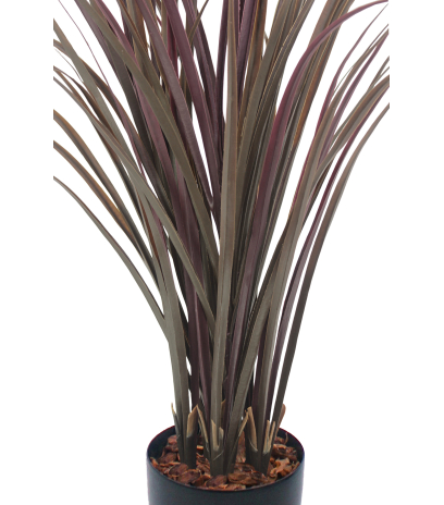 Citronnelle artificielle violette