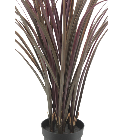 Citronnelle artificielle violette