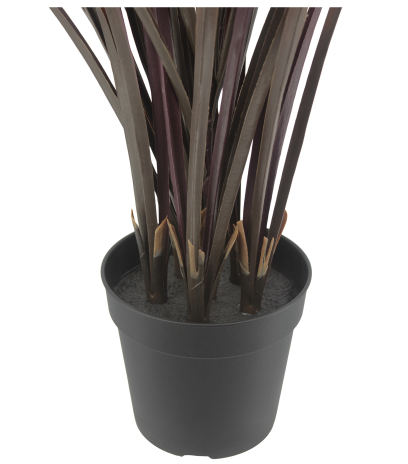 Pot