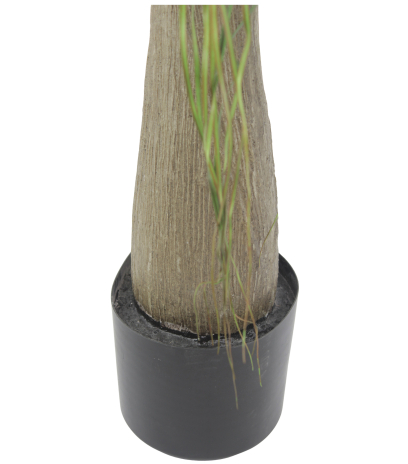 Pot