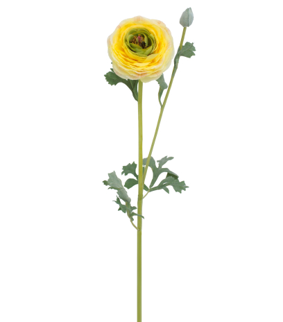 Renoncule artificielle jaune bouton