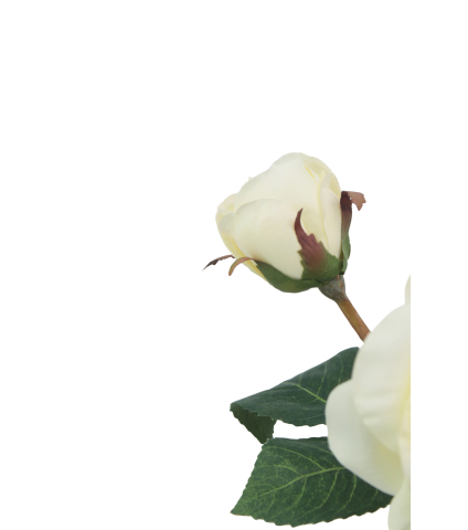 Rose artificielle Judith