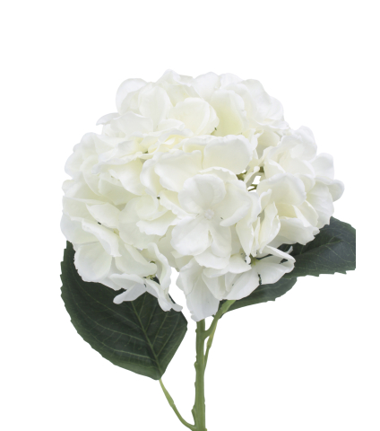 Fleur d'hortensia blanc artificielle