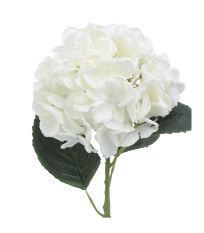 Fleur d'hortensia blanc artificielle
