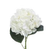 Fleur d'hortensia blanc artificielle