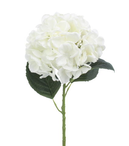 Fleur d'hortensia blanc artificielle