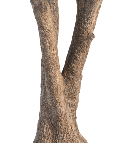 Olivier majestueux artificiel