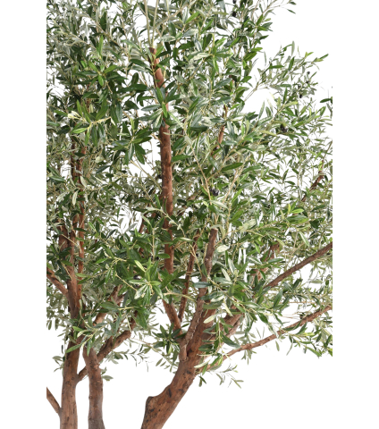 Olivier majestueux artificiel