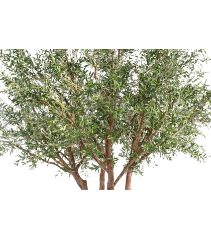 Olivier majestueux artificiel