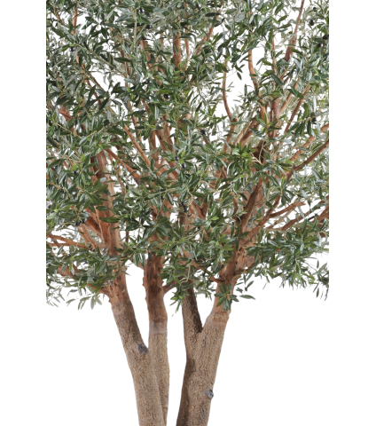 Olivier royal artificiel