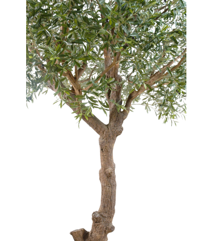 Olivier de Grenade artificiel