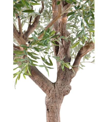 Olivier de Grenade artificiel