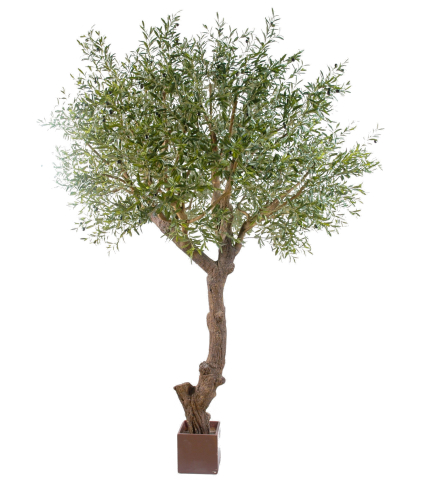 Olivier de Grenade artificiel