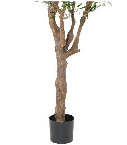 Pot