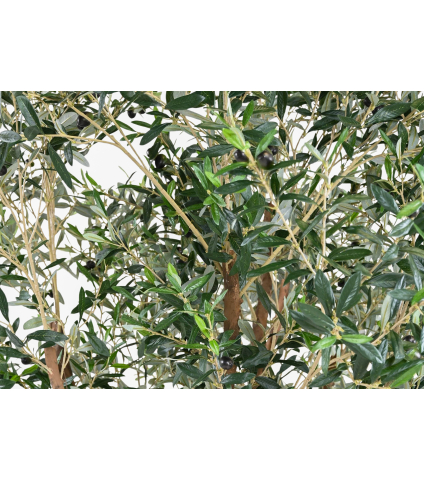 Olivier du Sud artificiel