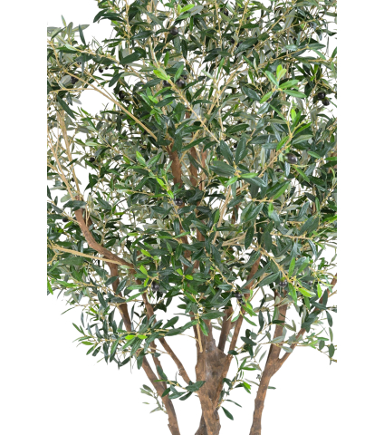 Olivier du Sud artificiel