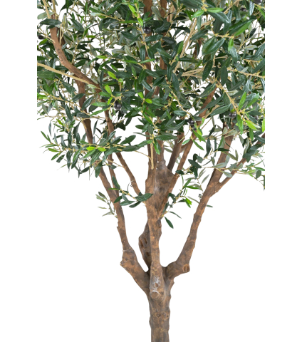 Olivier du Sud artificiel