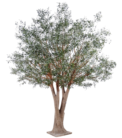 Olivier royal artificiel