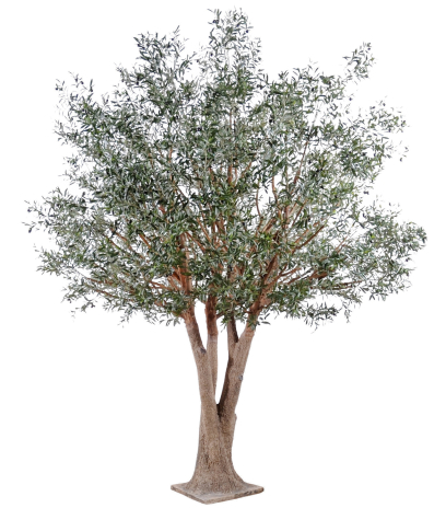 Olivier royal artificiel