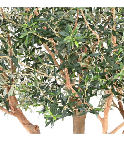 Olivier noble artificiel