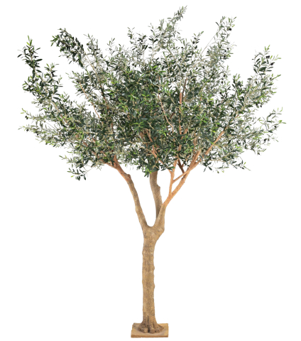 Olivier noble artificiel