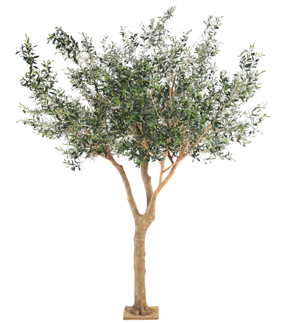 Olivier noble artificiel