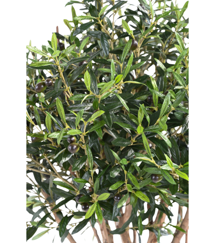 Olivier cime artificiel