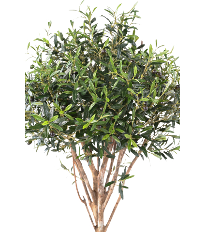 Olivier cime artificiel